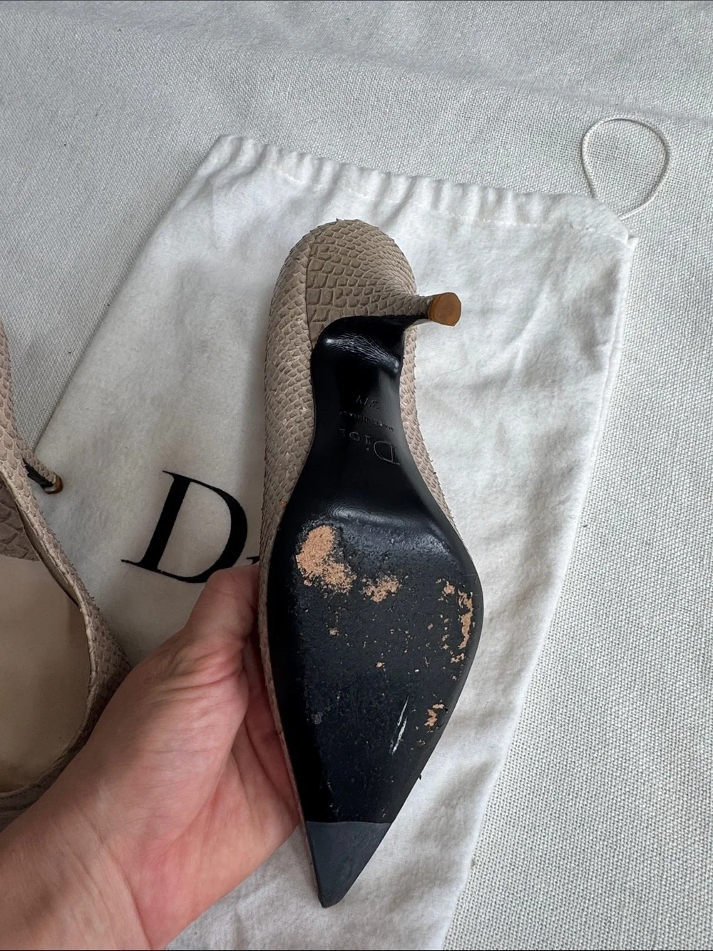Dior Pointed Toe Pumps in Taupe Scales